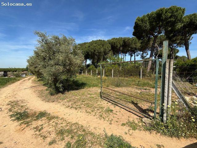 Local Comercial en venta en Villamanrique de la Condesa, Sevilla