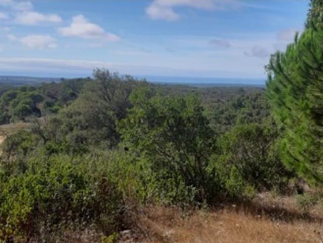 Terreno venda em Santiago Do Cacém, Setúbal