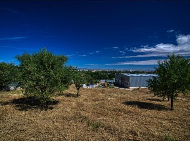 Local Comercial en venta en San Fernando De Henares