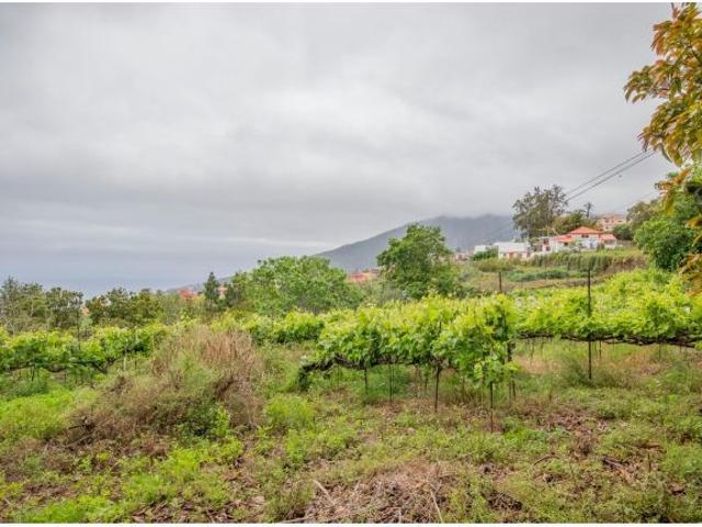 Local Comercial en venta en La orotava, Camino de Chasna-Montijos