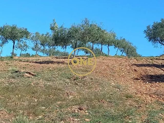 Terreno venda em Matela, Bragança