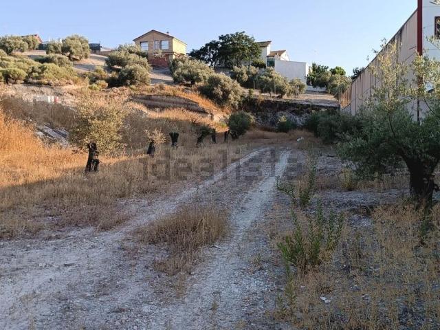 Terreno en venta en Llanos de Don Juan, Rute