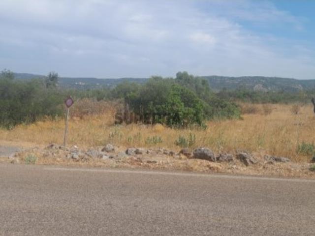 Terreno venda em Alto Fica, Loulé