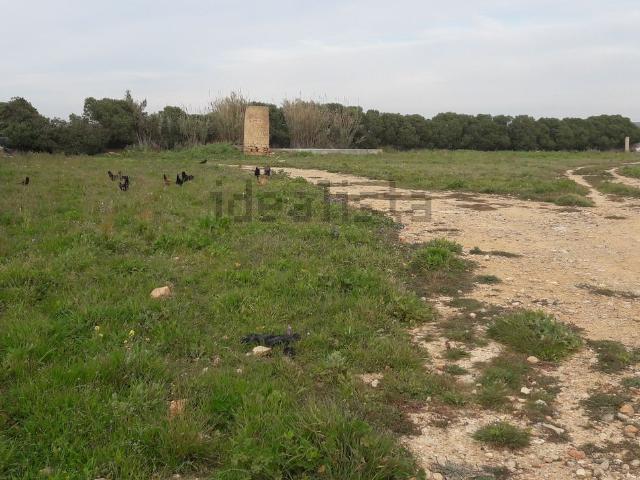 Terreno en alquiler en Sant Jordi, Palma