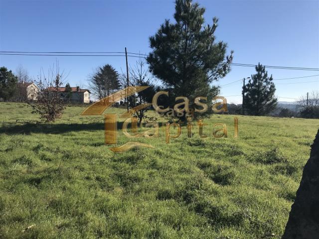 Terreno venda em Sabrosa, Vila Real