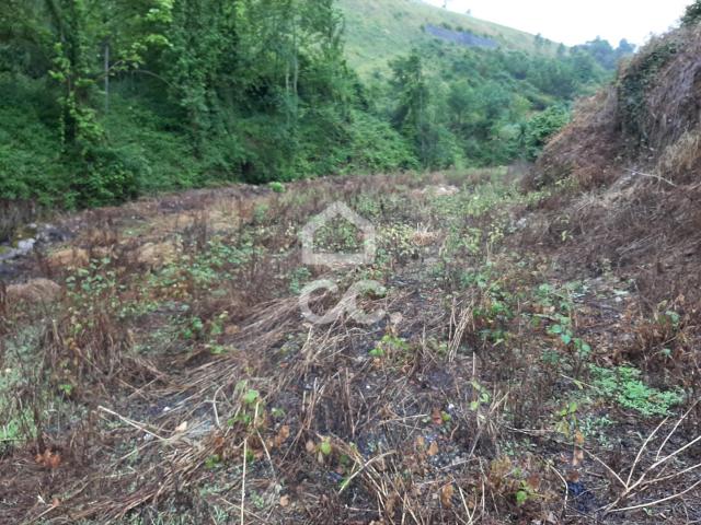 Terreno venda em Ribas, Celorico De Basto