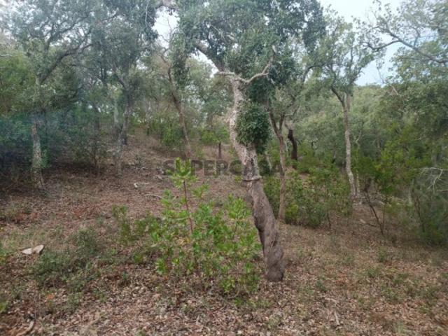 Terreno venda em Valinho, Santiago Do Cacém