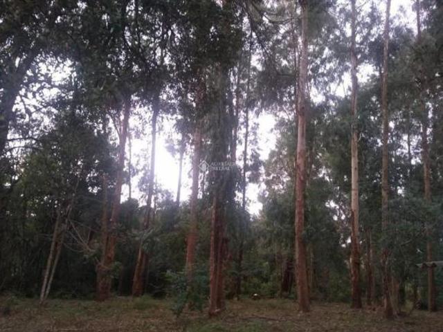 Terreno venda em Região Geográfica Imediata de Caxias do Sul, São Francisco de Paula