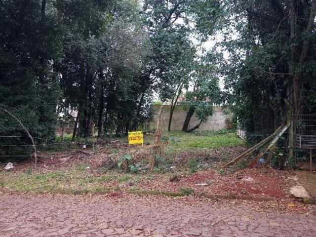 Terreno venda em Região Geográfica Imediata de Ijuí, Ijuí