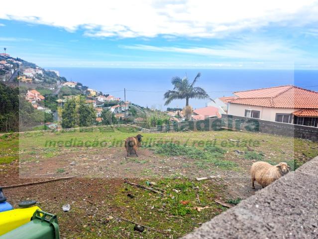 Terreno venda em Lazareto, Funchal