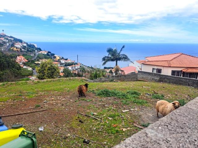 Terreno venda em Funchal, Ilha Da Madeira