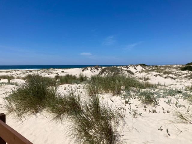 Terreno venda em Aveiro