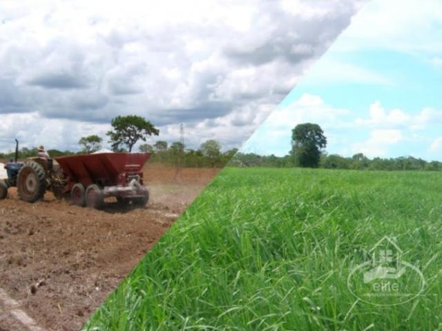 Terreno venda em Campo Maior Terreno venda em Campo Maior