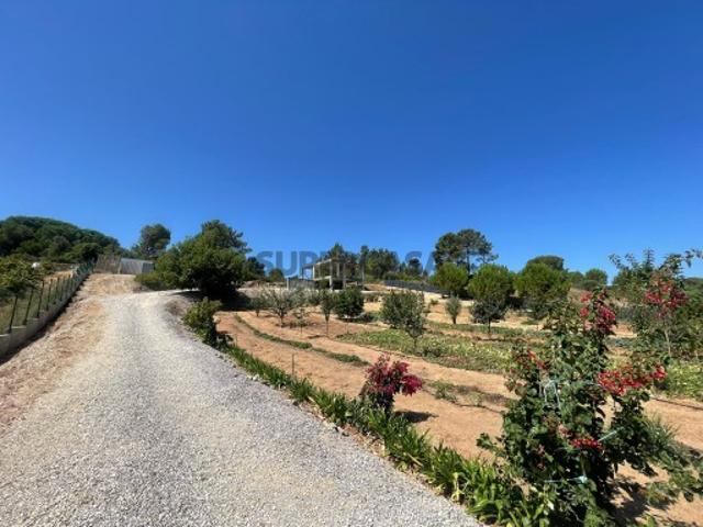 Terreno venda em Rio Maior, Santarém