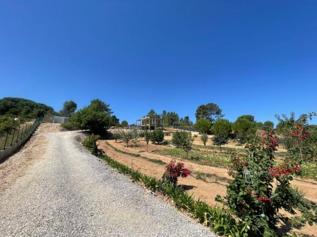 Terreno venda em Rio Maior, Santarém
