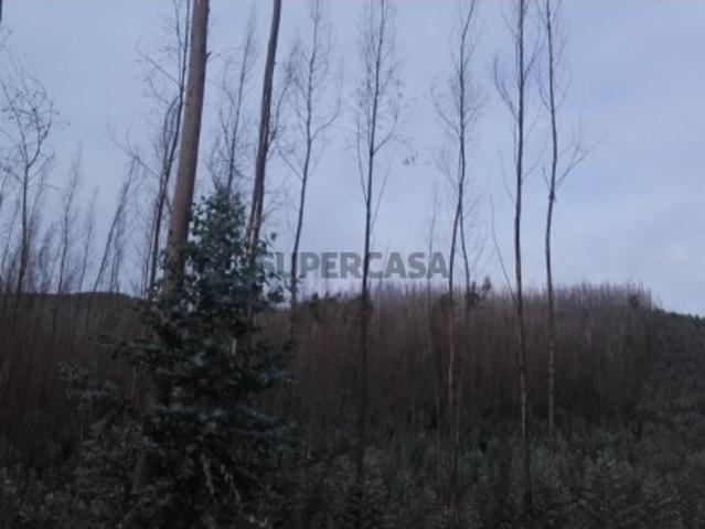 Terreno venda em Castelo De Paiva, Aveiro
