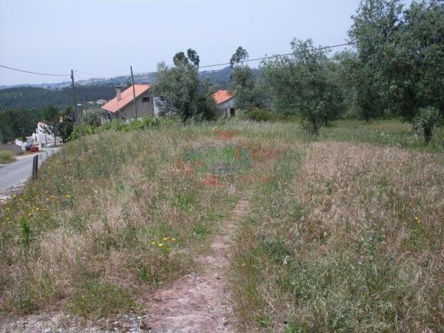 Terreno venda em Coimbrã, Coimbra