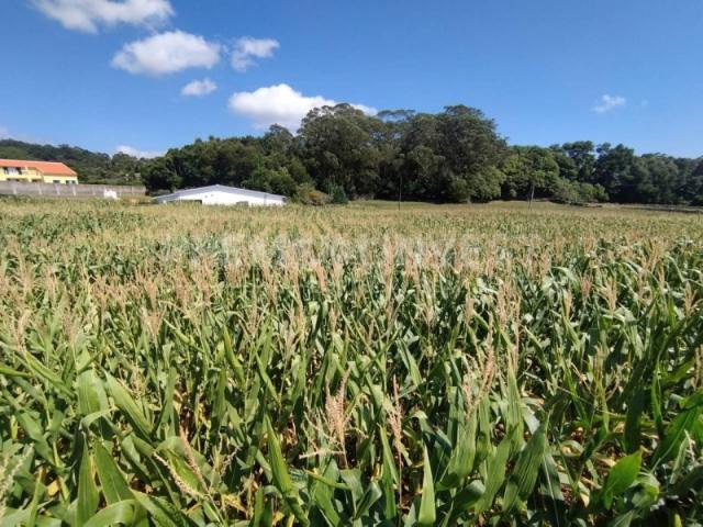 Terreno venda em Açores, Ilha Terceira