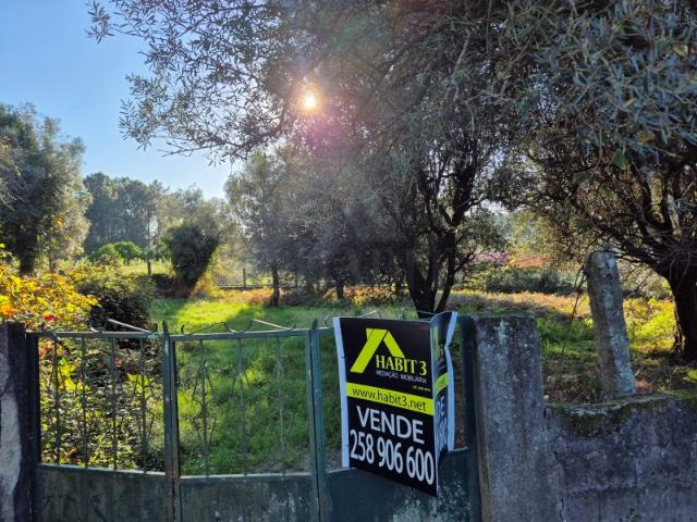 Terreno venda em Foio, Boalhosa