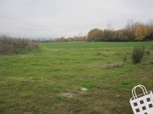 Terreno venda em São Pedro de Agostém, Chaves