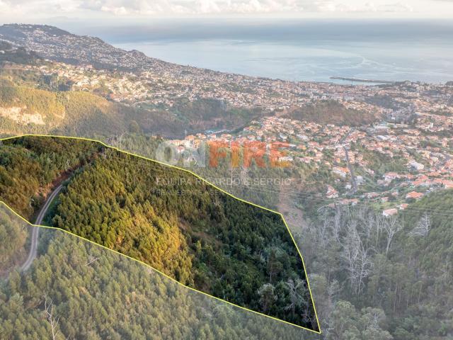Terreno venda em São Roque, Funchal