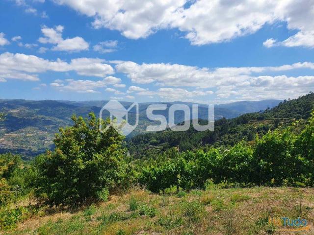 Apartamento venda em Baião, Porto