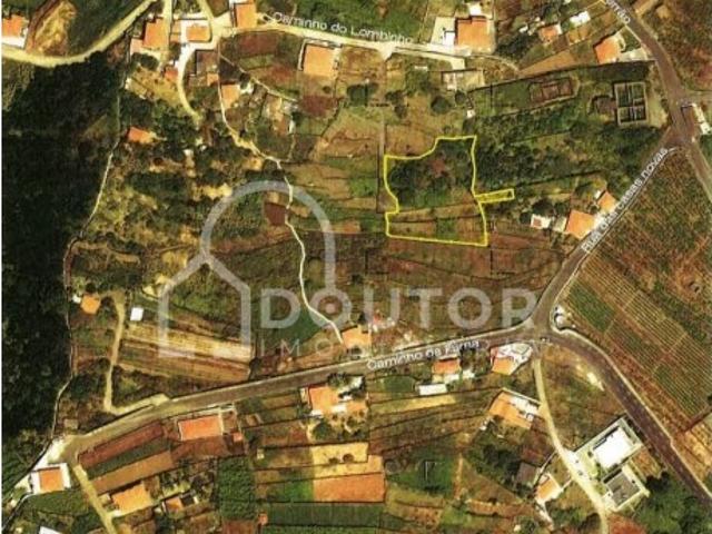 Terreno venda em São Vicente, Ilha Da Madeira