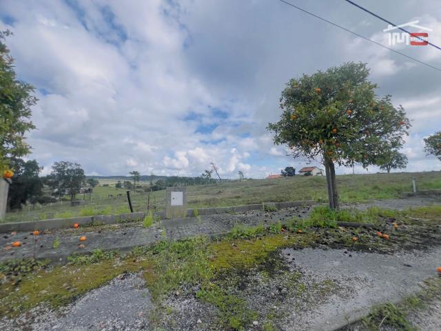Terreno venda em Tomar, Vermoeiros Terreno venda em Tomar, Vermoeiros