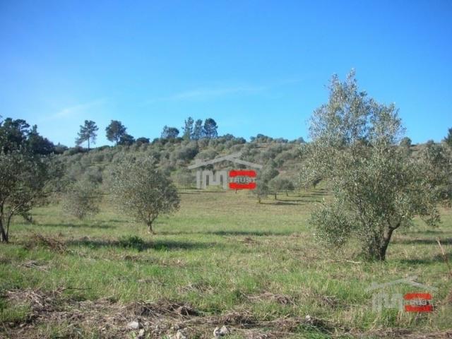 Terreno venda em Tomar, Vermoeiros Terreno venda em Tomar, Vermoeiros