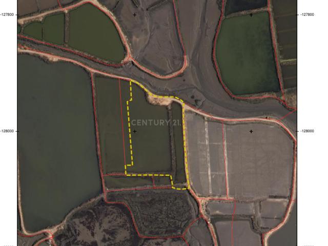 Terreno alugar em Setúbal