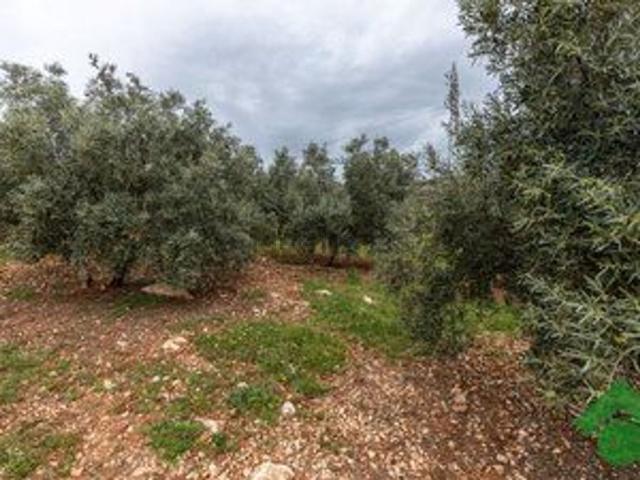Terreno en venta en Comarca de Loja, Andalucía