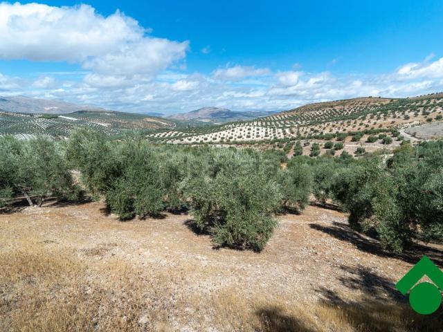 Terreno en venta en Comarca de Loja, Andalucía