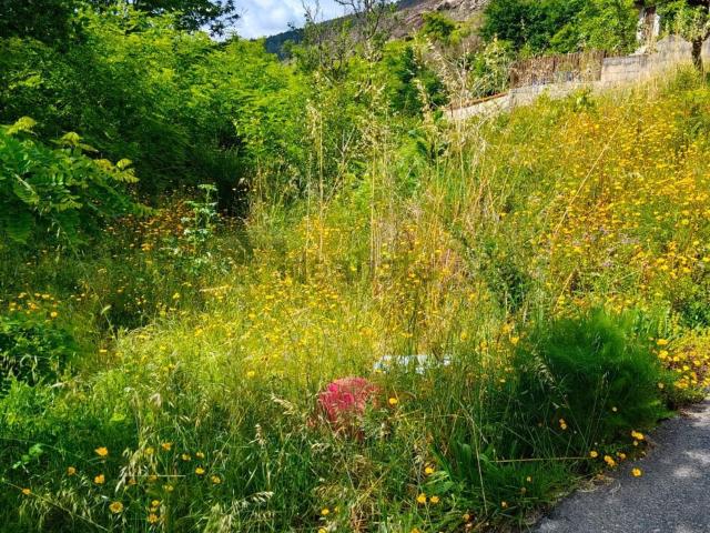 Terreno en venta en Salceda de Caselas, Vigo