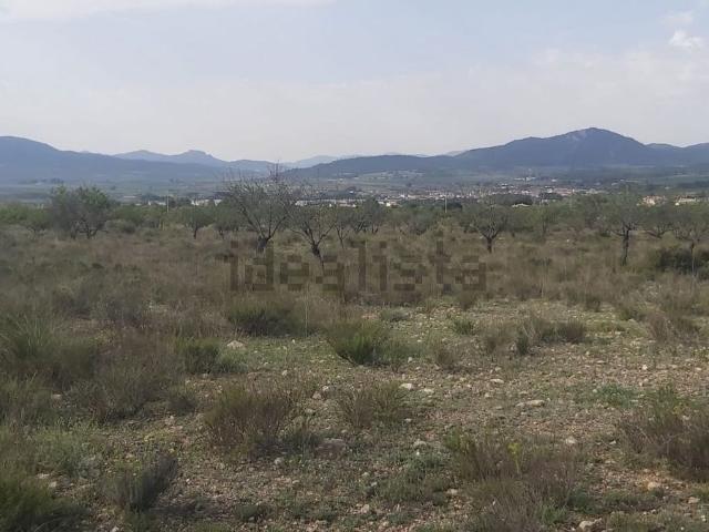 Terreno en venta en Cecilia Bartolomé (Mujeres Libres), l'Alt Vinalopó / El Alto Vinalopó