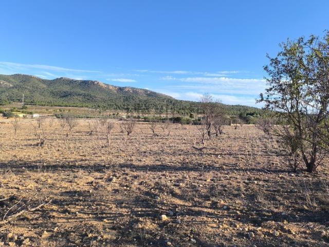 Terreno en venta en Cecilia Bartolomé (Mujeres Libres), Salinas