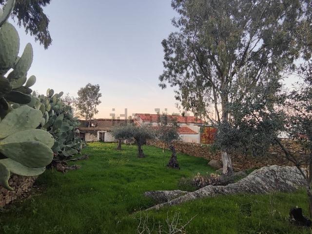 Terreno en venta en Salorino, Extremadura