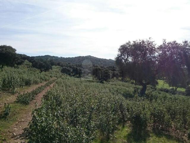 Terreno en venta en Salorino, Cáceres