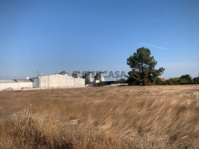 Terreno venda em Salvaterra De Magos, Santarém