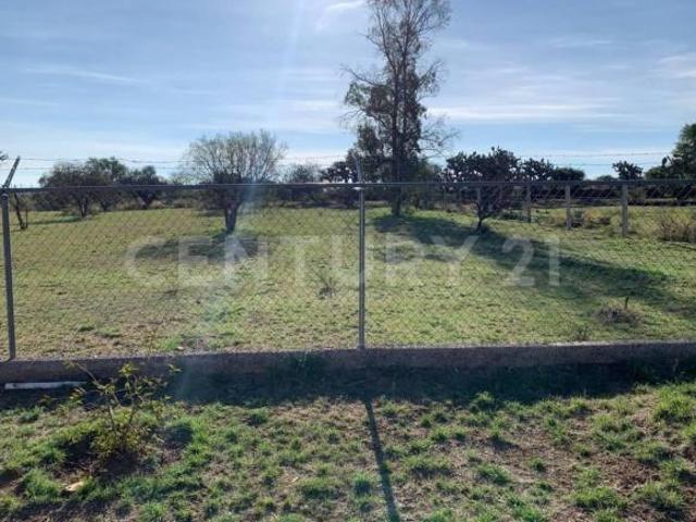 Quinta en Venta en San Antonio de los Pedroza