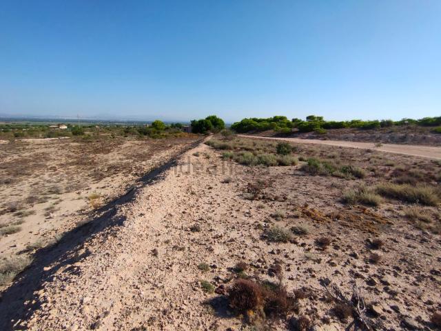 Terreno en venta en el Baix Segura / La Vega Baja, Valencia