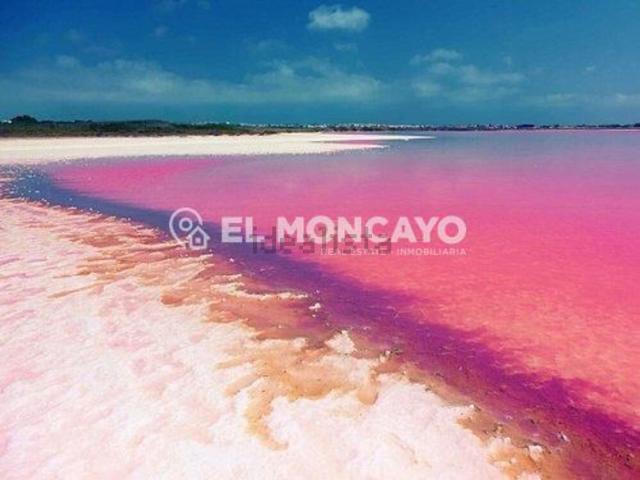 Terreno en venta en el Baix Segura / La Vega Baja, Valencia
