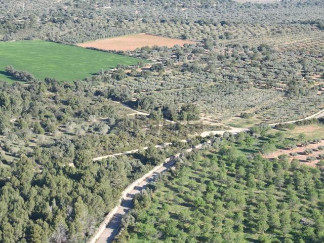Terreno en venta en el Baix Maestrat, Valencia