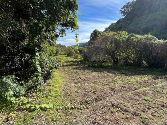 Terreno en venta en Gran Canaria, Canarias