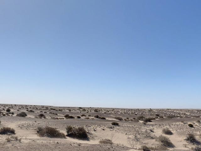 Terreno en venta en San Luis Río Colorado, Sonora