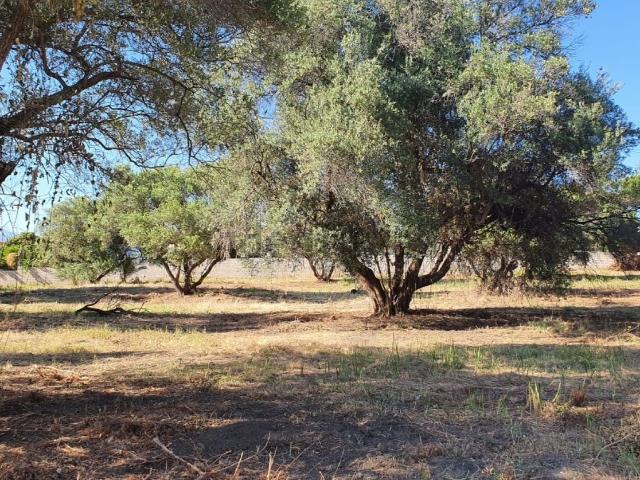 Terreno en venta en Salto del Agua, Costa del Sol Occidental