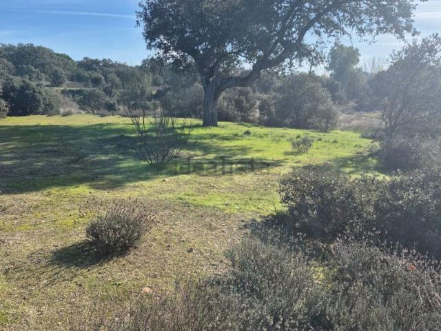 Terreno en venta en San Román De Los Montes, Castilla-La Mancha