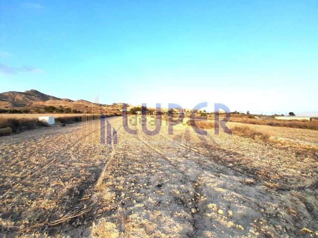 Terreno en venta en el Verdegàs, l'Alacantí