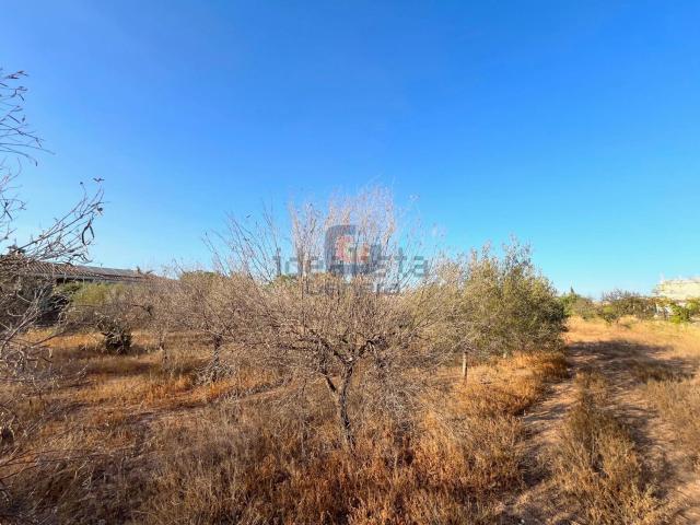 Terreno en venta en Sant Vicent del Raspeig / San Vicente del Raspeig, l'Alacantí