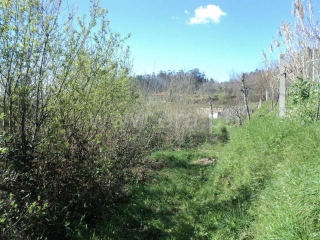 Terreno venda em Cristóvão, Sande
