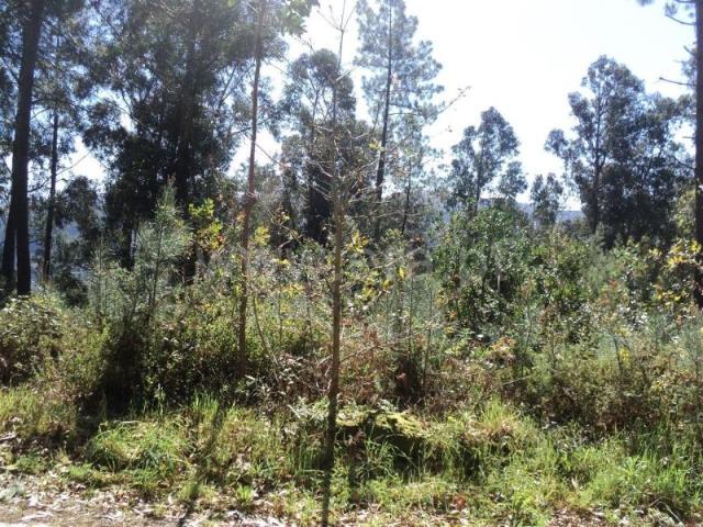Terreno venda em Cristóvão, Sande
